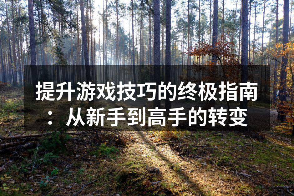 提升游戏技巧的终极指南：从新手到高手的转变